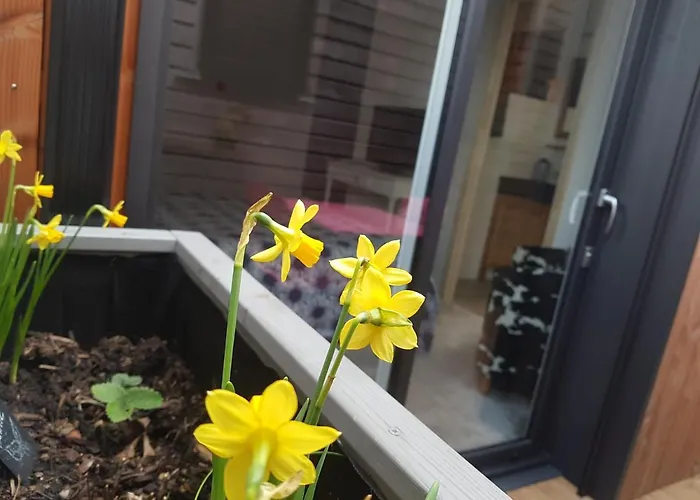 Angers Green Lodge Angers